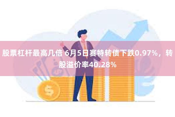 股票杠杆最高几倍 6月5日赛特转债下跌0.97%，转股溢价率40.28%