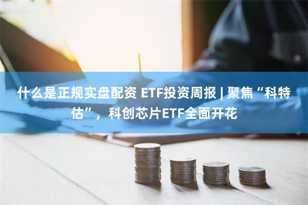 什么是正规实盘配资 ETF投资周报 | 聚焦“科特估”，科创芯片ETF全面开花