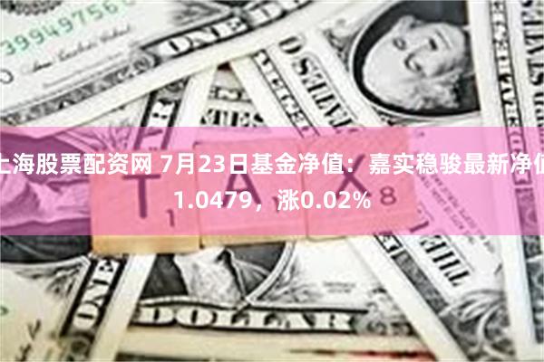 上海股票配资网 7月23日基金净值：嘉实稳骏最新净值1.0479，涨0.02%