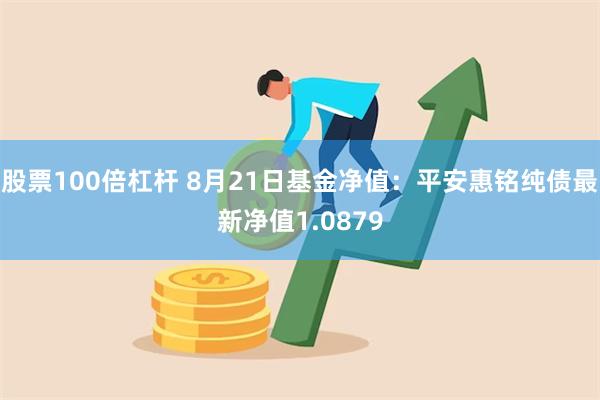 股票100倍杠杆 8月21日基金净值：平安惠铭纯债最新净值1.0879