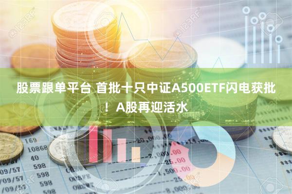 股票跟单平台 首批十只中证A500ETF闪电获批！A股再迎活水