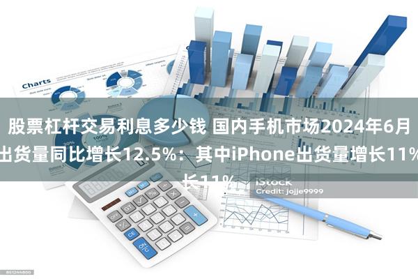 股票杠杆交易利息多少钱 国内手机市场2024年6月出货量同比增长12.5%：其中iPhone出货量增长11%