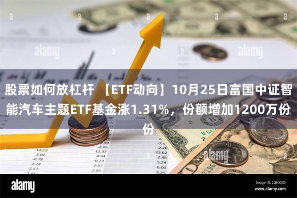 股票如何放杠杆 【ETF动向】10月25日富国中证智能汽车主题ETF基金涨1.31%，份额增加1200万份