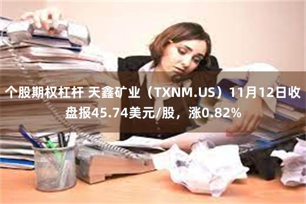 个股期权杠杆 天鑫矿业（TXNM.US）11月12日收盘报45.74美元/股，涨0.82%