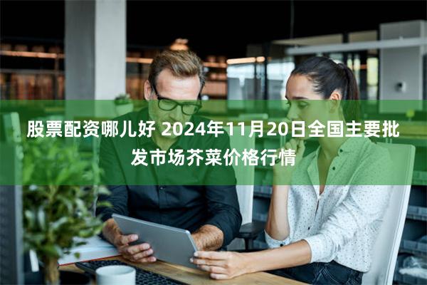 股票配资哪儿好 2024年11月20日全国主要批发市场芥菜价格行情