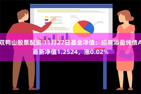 双鸭山股票配资 11月27日基金净值：招商添盈纯债A最新净值1.2524，涨0.02%