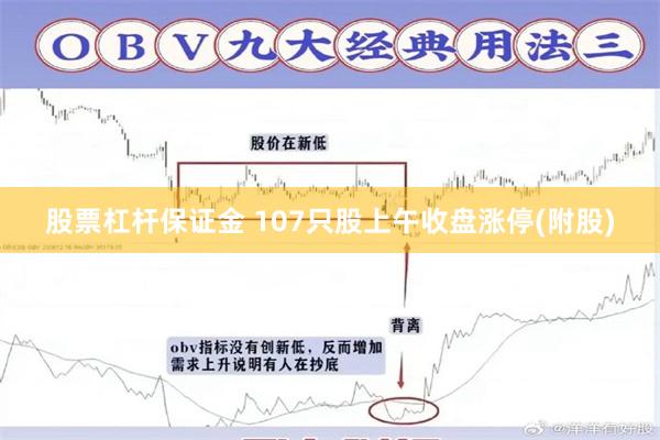 股票杠杆保证金 107只股上午收盘涨停(附股)