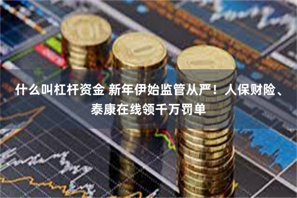 什么叫杠杆资金 新年伊始监管从严！人保财险、泰康在线领千万罚单