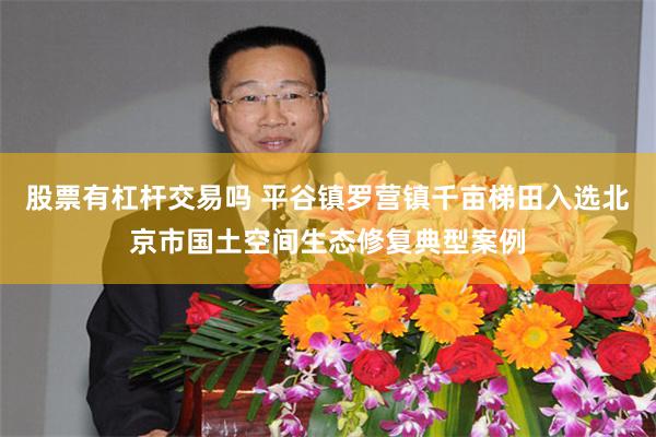 股票有杠杆交易吗 平谷镇罗营镇千亩梯田入选北京市国土空间生态修复典型案例