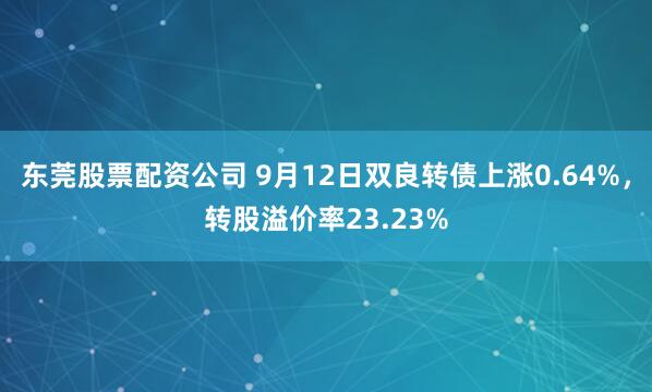 东莞股票配资公司 9月12日双良转债上涨0.64%，转股溢价率23.23%