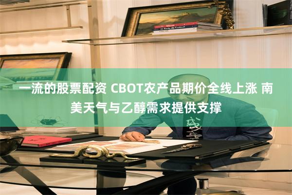 一流的股票配资 CBOT农产品期价全线上涨 南美天气与乙醇需求提供支撑